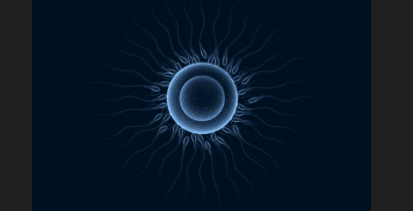 1586945523.png 微信截图_20200415181147.png