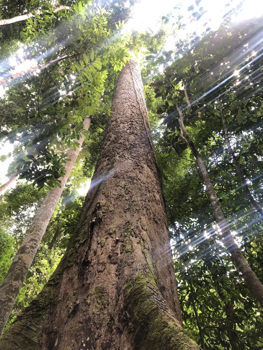 沙巴的小众玩法!让你赢遍朋友圈!